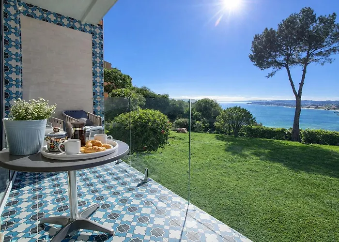 Noctua Playa 028 에스테포나