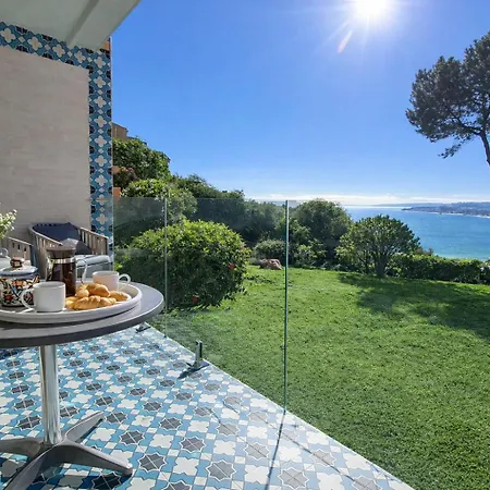 Noctua Playa 028 Estepona